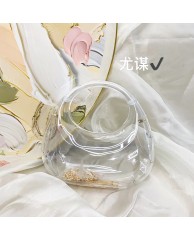 Ladies Acrylic Clutch Purse - Transparent 