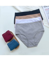 Ladies Multi Cotton Pants 02 
